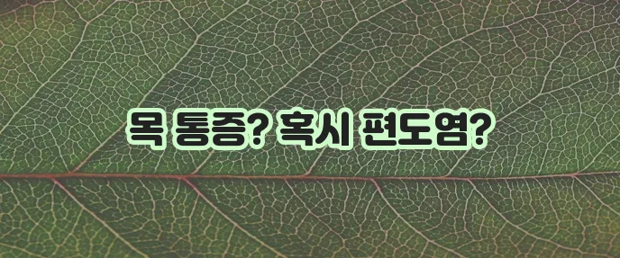 편도염 증상, 꼼꼼히 알아봐야 합니다!