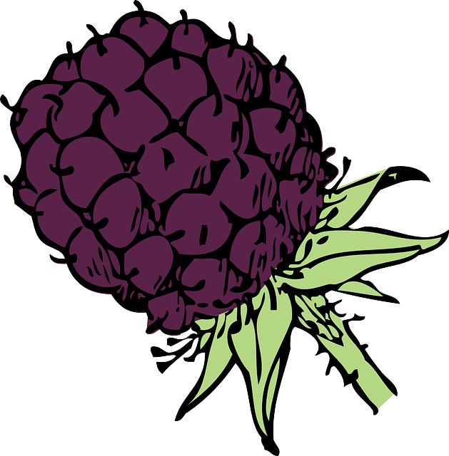 복분자_관련_사진