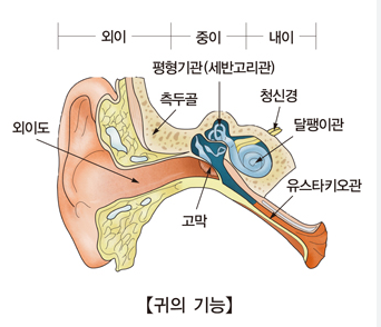 이석증 증상과 자가치료법