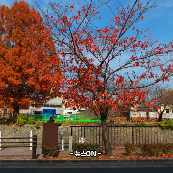 11월에 가볼만한 해외여행지