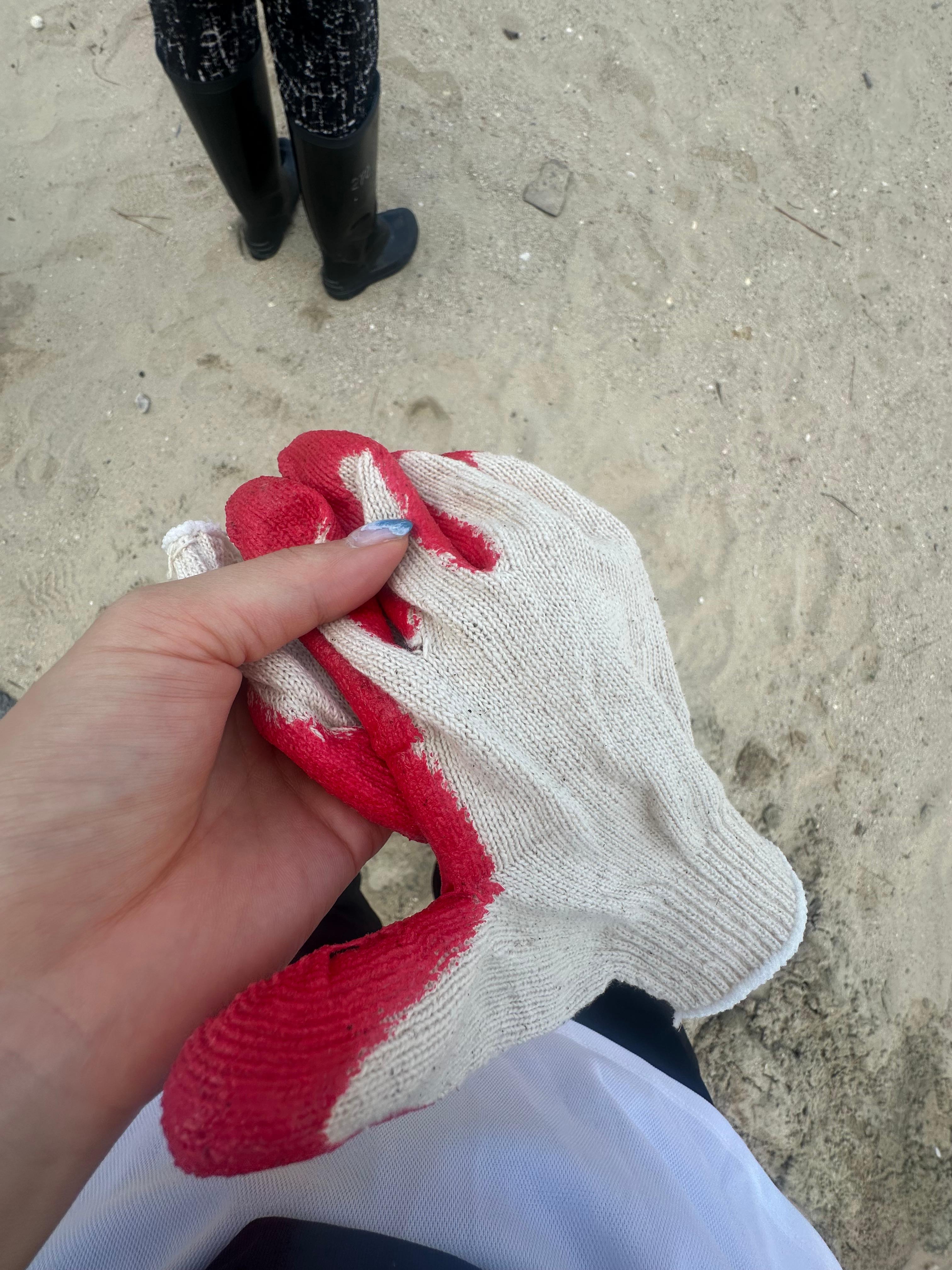 Travel Review 2: Boryeong, Daecheon, and Muchangpo in Chungnam, Korea (Family Travel Destination Recommendation, Muchangpo Beache Palace, Mudflat Experience, Sky Bike Price &amp; Duration, Daecheon Restaurants &amp; Lunch Spots, Daecheon Beach, Stunning Sunset, Closed Sanghwawon, Daecheon Port Fish Market, Useong Fisheries, Suyeonho Fisheries, Muchangpo Beache Palace, Ocean View, Lodging with Kitchen Facilities, Muchangpo Pension)