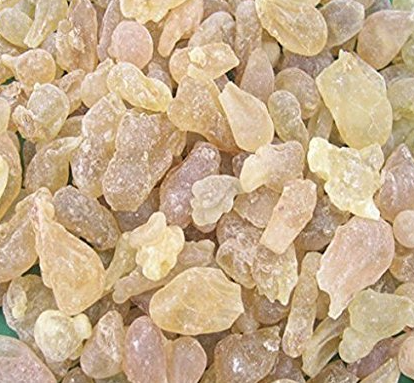 보스웰리아 채취된 모습