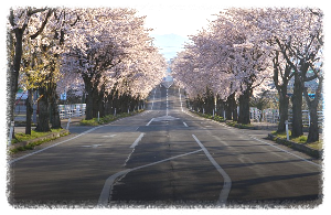 후쿠오카 (Fukuoka)