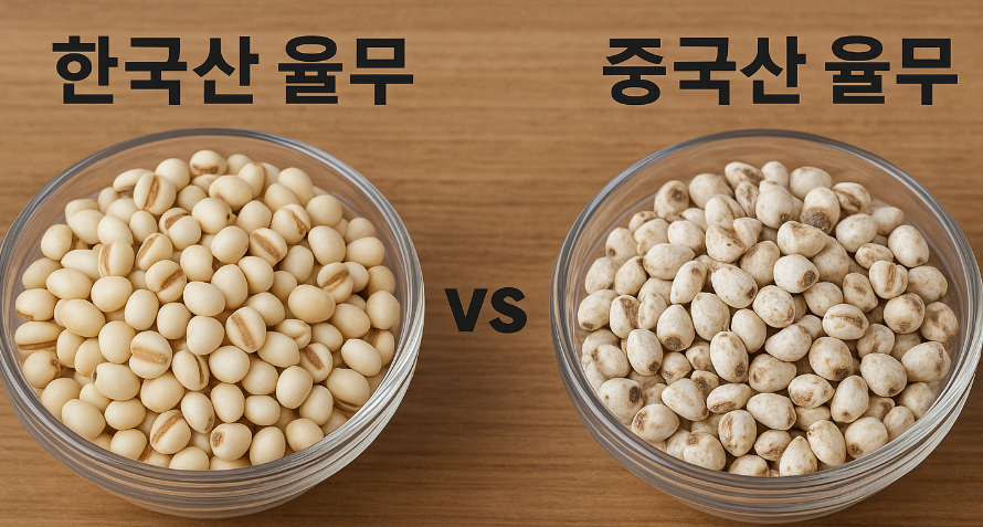 "한국 율무 vs 중국 율무"에 대한 이미지입니다.