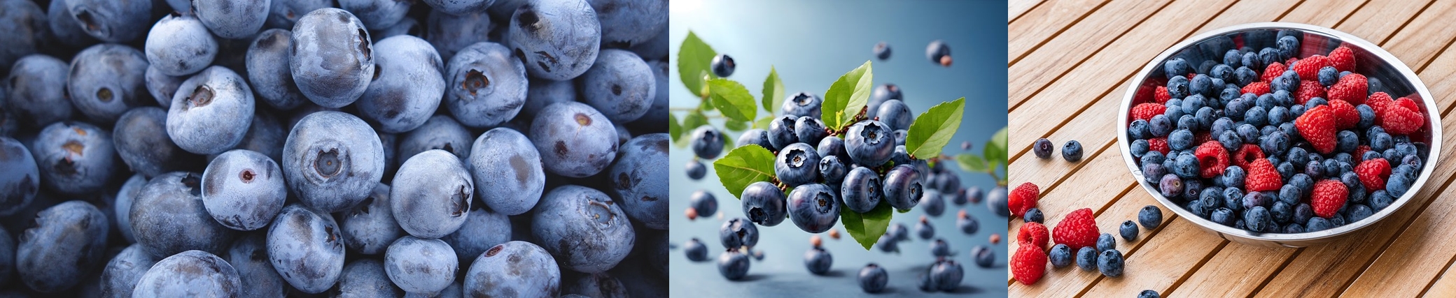 블루베리