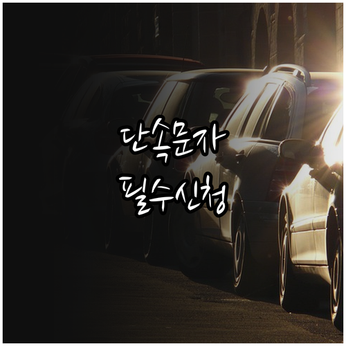 주정차 단속 알림 문자 서비스 신청 ..