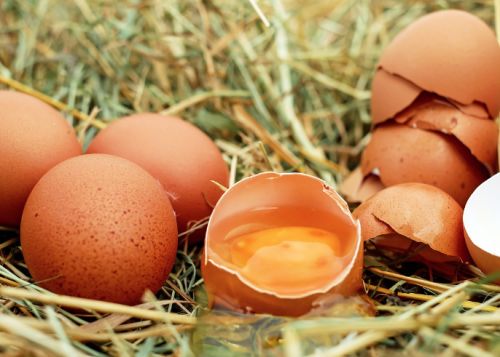 혈당 낮추는 음식 5가지 ❘ 식전에 이거 드세요