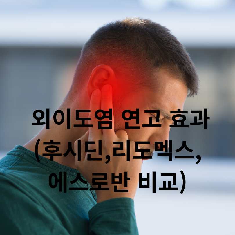 여름철 질병 외이도염 연고 효과