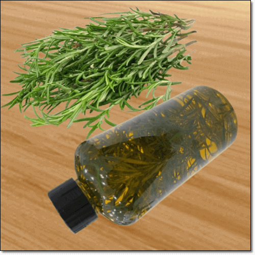 로즈마리 오일 만들기