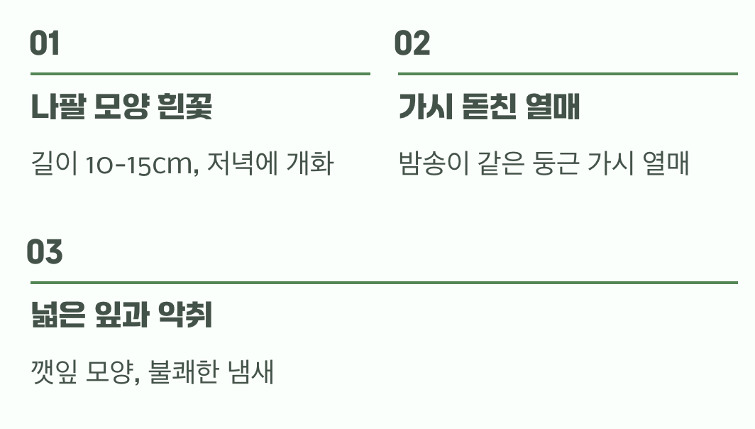 어떻게 구별할 수 있을까?