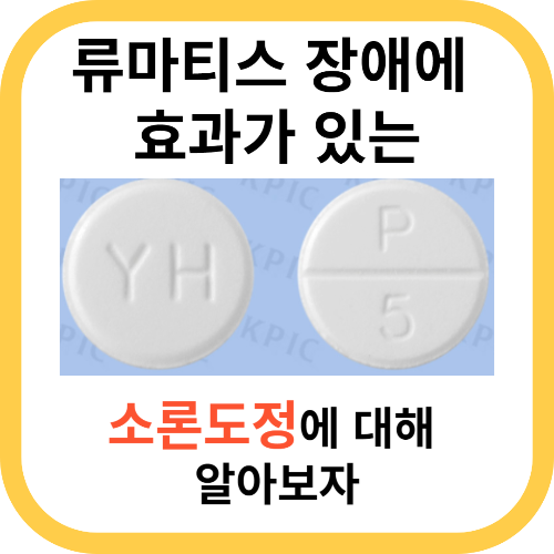 소론도정