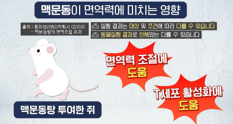 볶음 맥문동 분말 효능