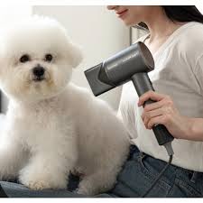 나혼자산다 구성환 강아지 꽃분이 드라이 추천템