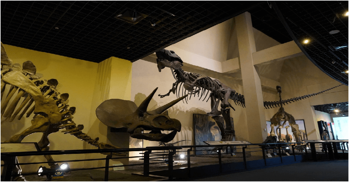 2025 설 연휴 경남 아이들과 가볼만한 곳 (1편 : 역사를 배우고 아이들 학습에 좋은 곳)