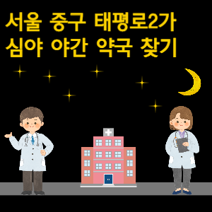 서울 중구 태평로2가 심야 야간 약국 찾기