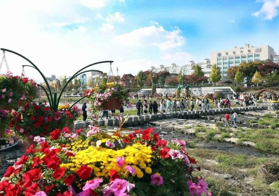 유성 국화축제 2025 유림공원 가을꽃축제