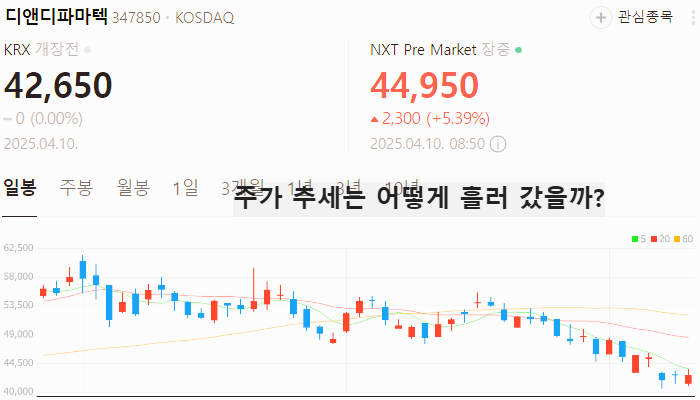 치매 비만치료제 관련주 대장주 TOP5