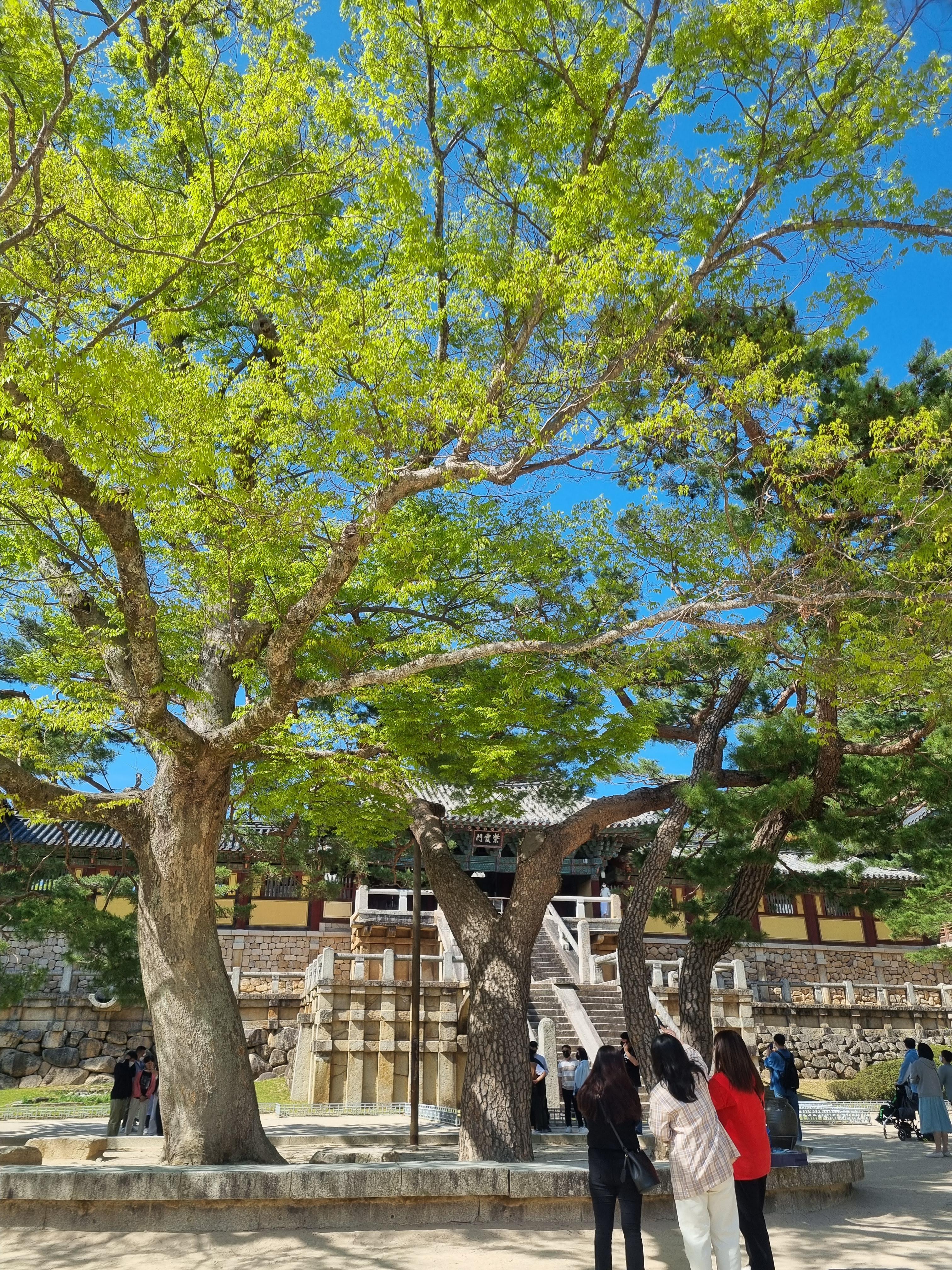경주 불국사