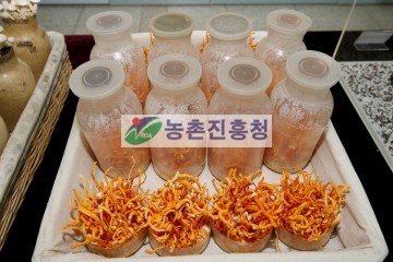 동충하초 효능과 먹는 방법, 부작용