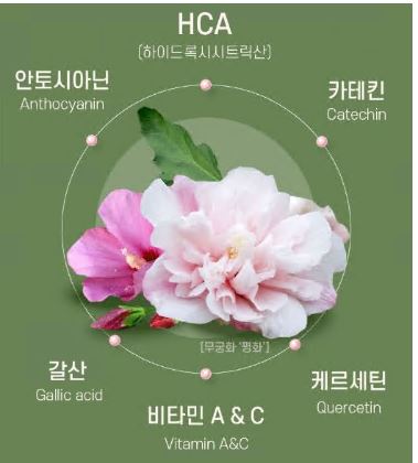 무궁핏-성분