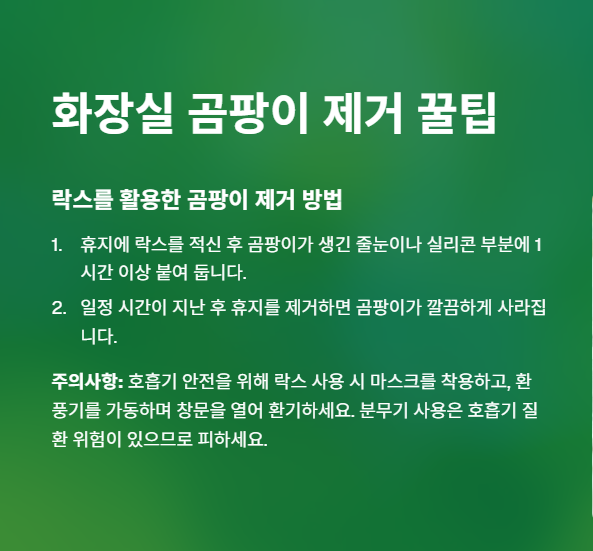 습기제거 곰팡이 예방 방법