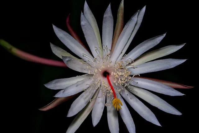 공주 가볼만한곳 베스트10 역사 여행지 추천 루트 정리_7