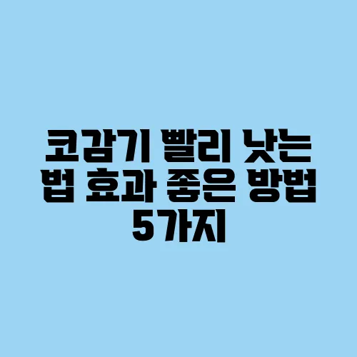 코감기 빨리 낫는 법 효과 좋은 방법 5가지