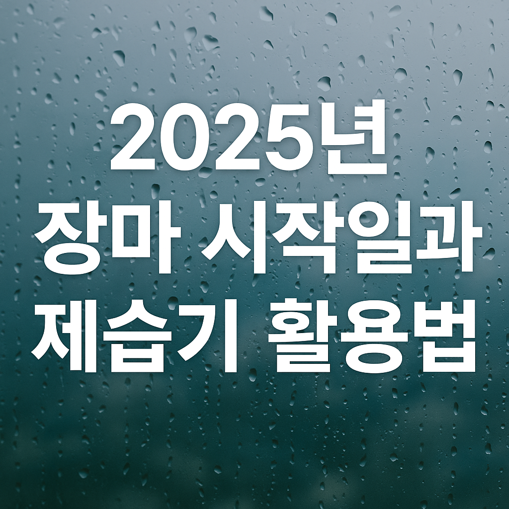 2025 장마기간 (제습, 곰팡이, 꿀팁)