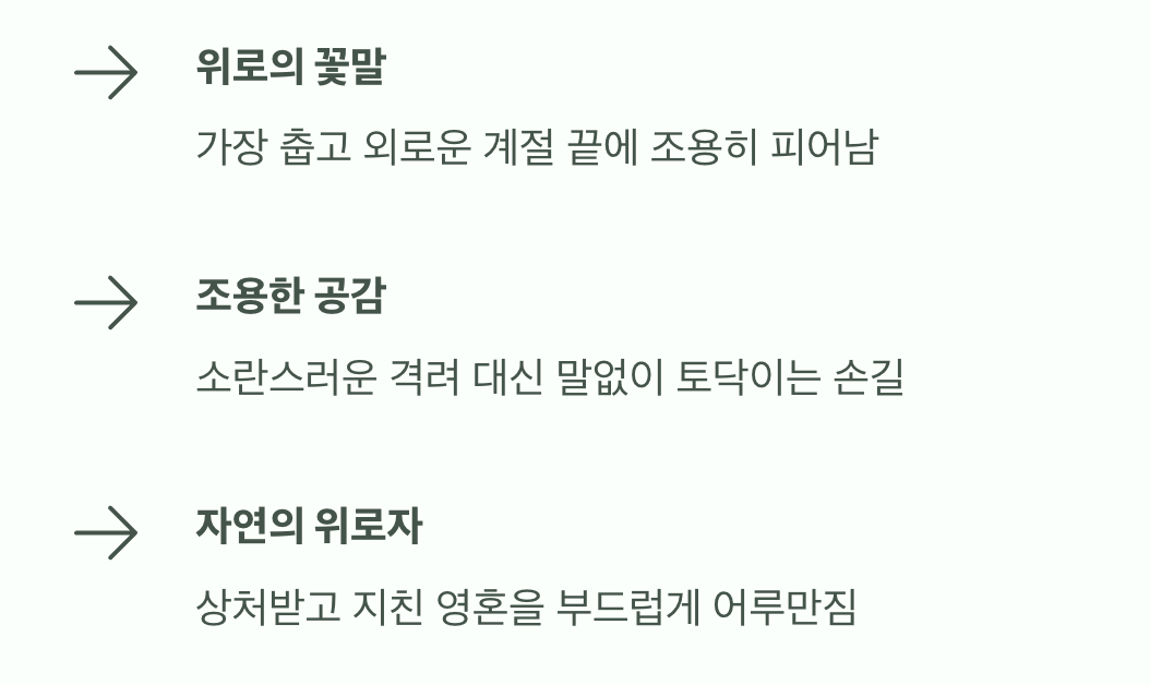 따뜻한 위로의 손길