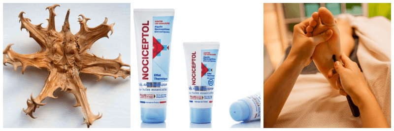 악마의 발톱, 노시셉톨 마사지겔, 마사지 사진