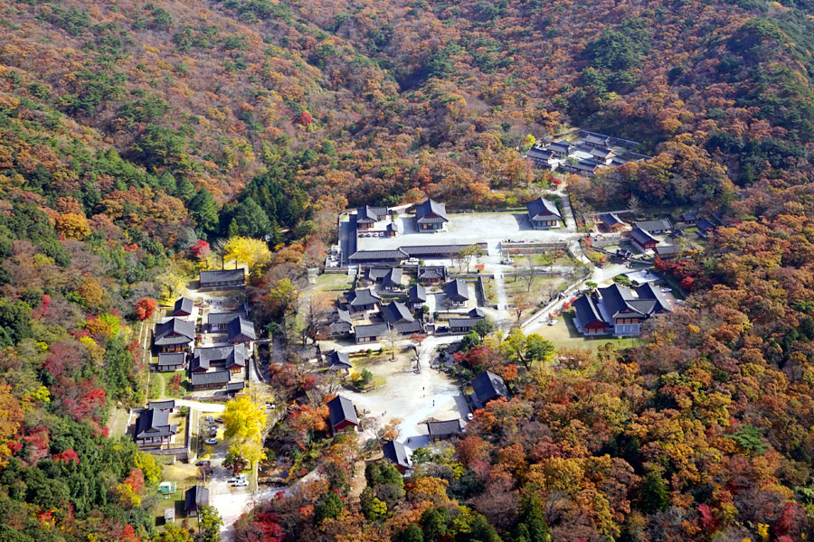 해남 가볼만한곳 - 대흥사