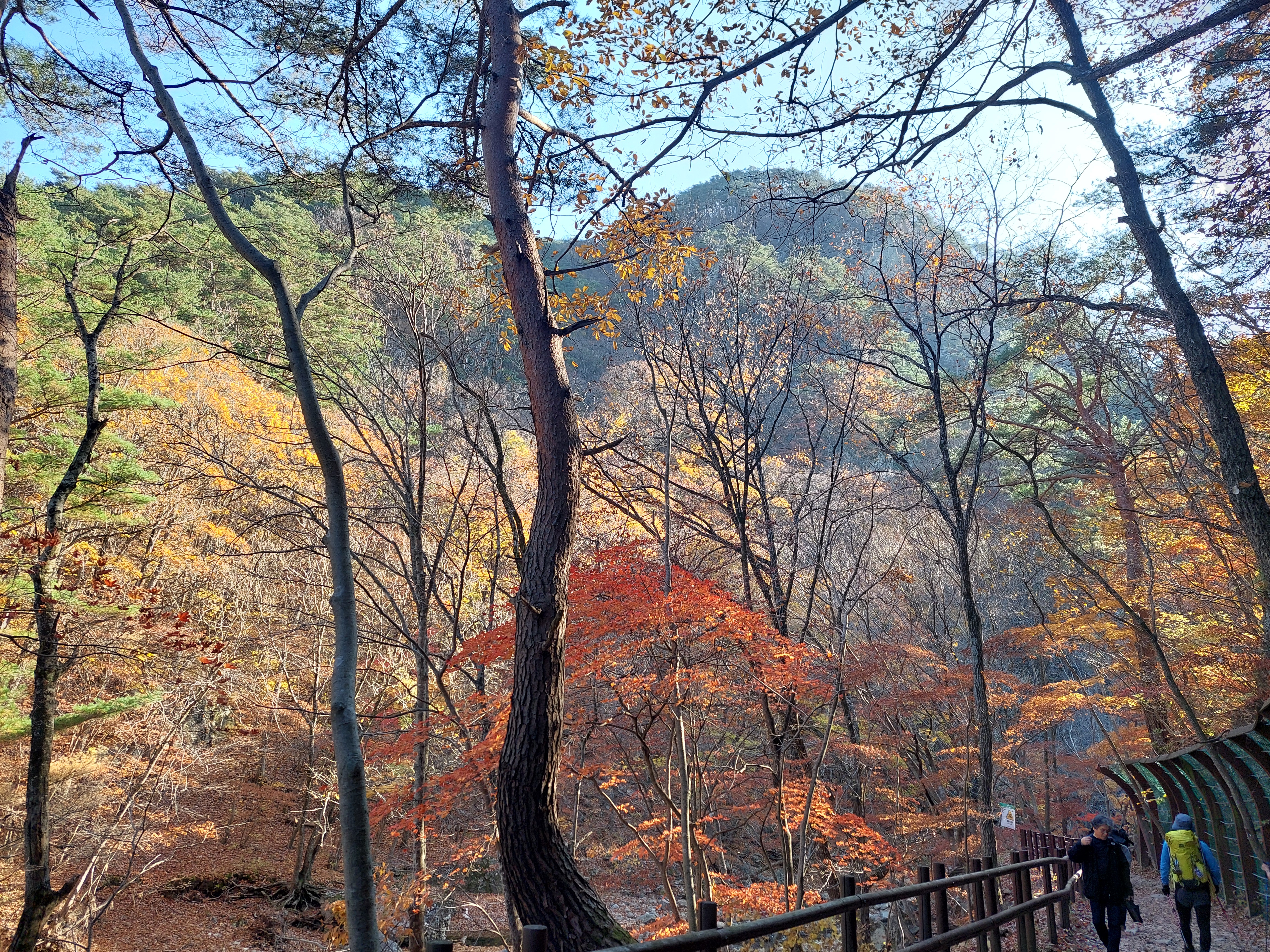 주왕산