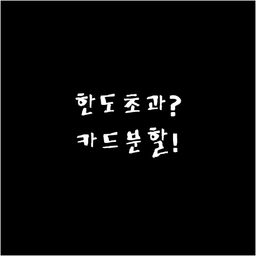 자동차세 연납 이체 한도 초과 해결 ..