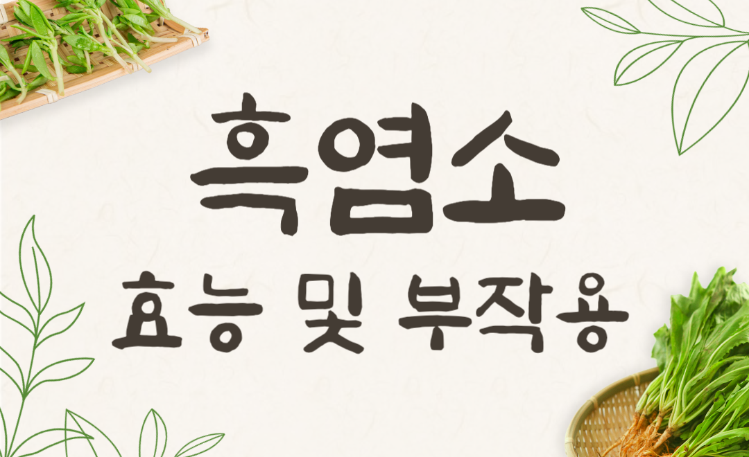 흑염소 진액 효능 총정리! 흑염소즙 부작용 없이 복용하는 꿀팁