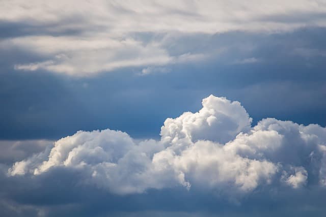 세포 손상을 막는 항산화 전략