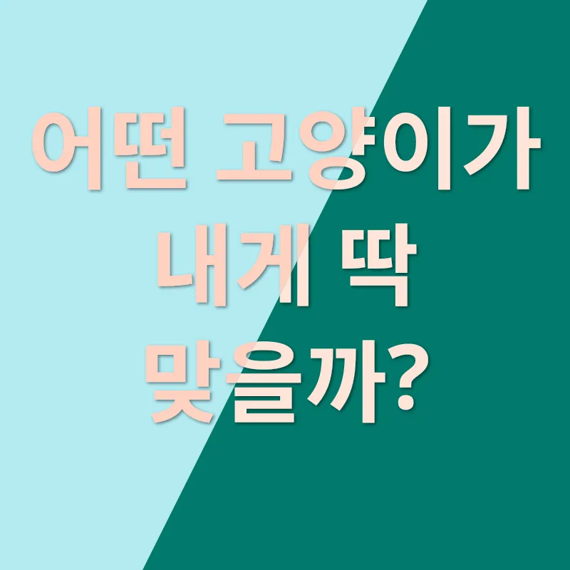 고양이와의 행복_1