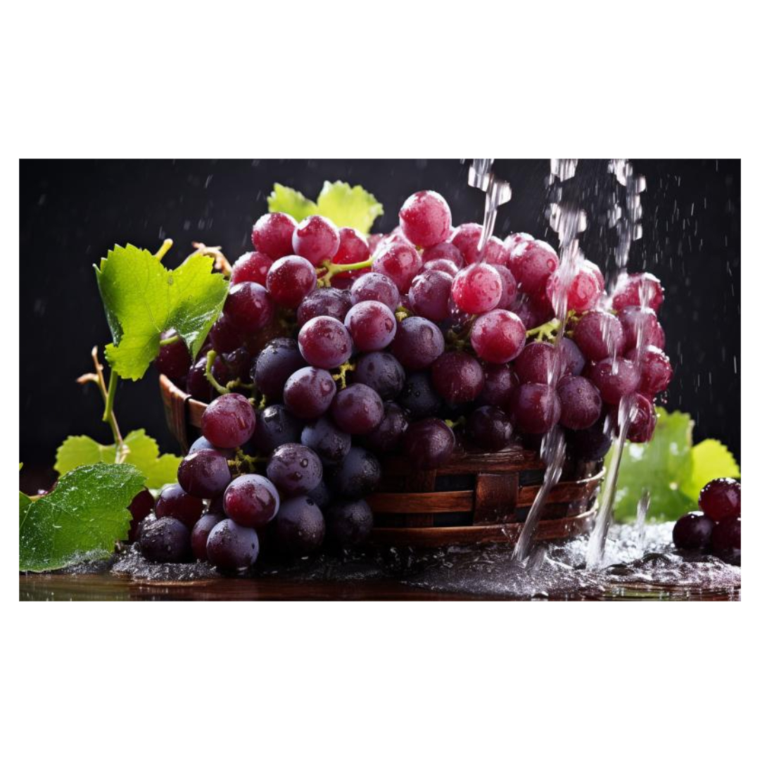 식물성 멜라토닌과 관련된 사진입니다.