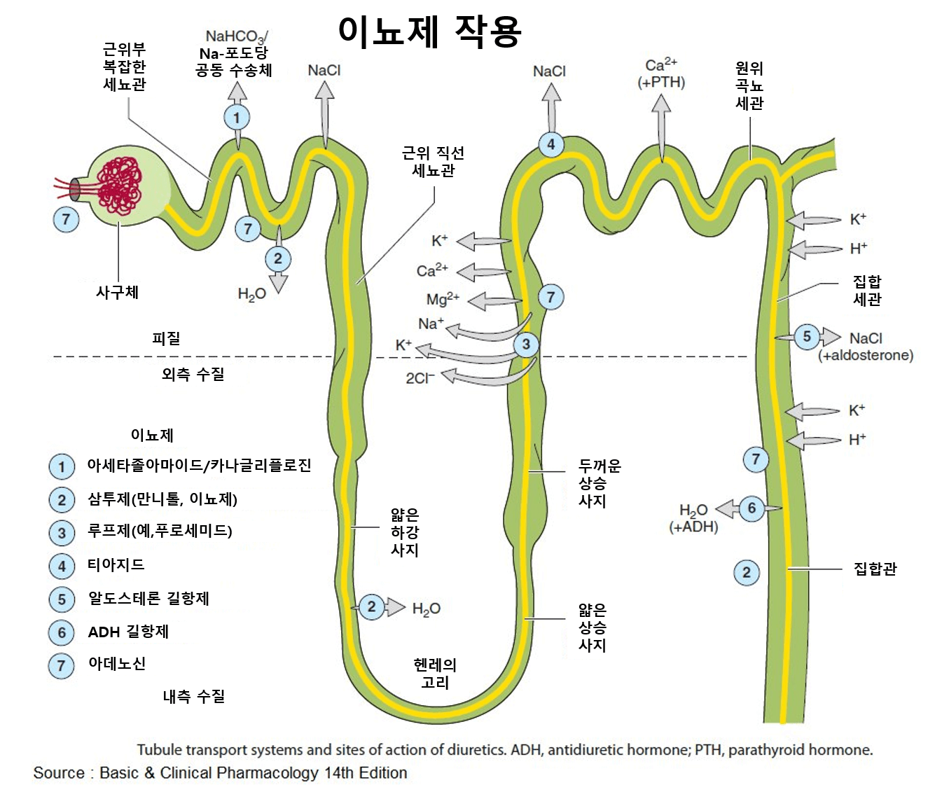 고혈압