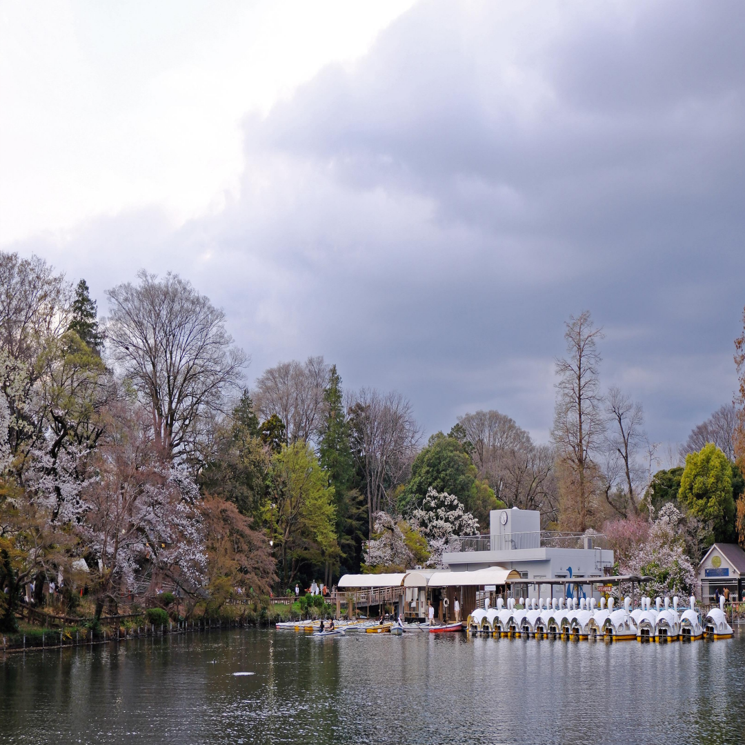 말레이시아 조지타운 관련 사진