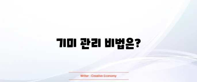 기미 없애는 방법