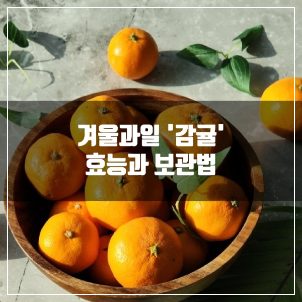 겨울 대표 과일 감귤의 효능과 보관법에 대해 알아본다.