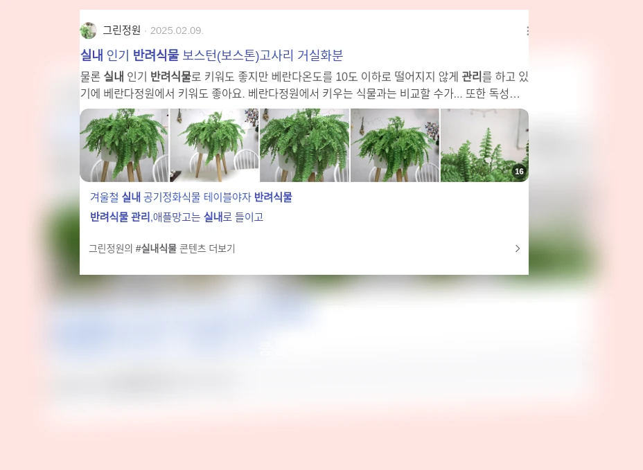 실내 반려식물 관리_3_subsection