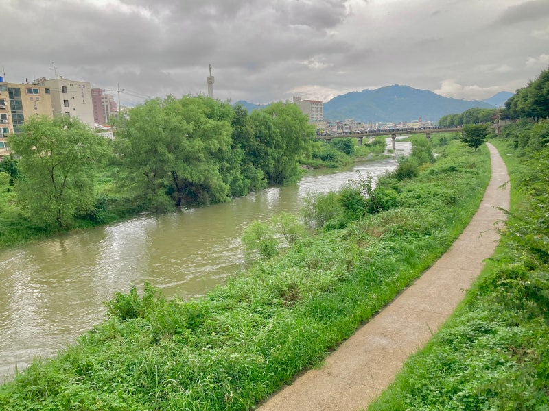 전주 – 전주천 수로길