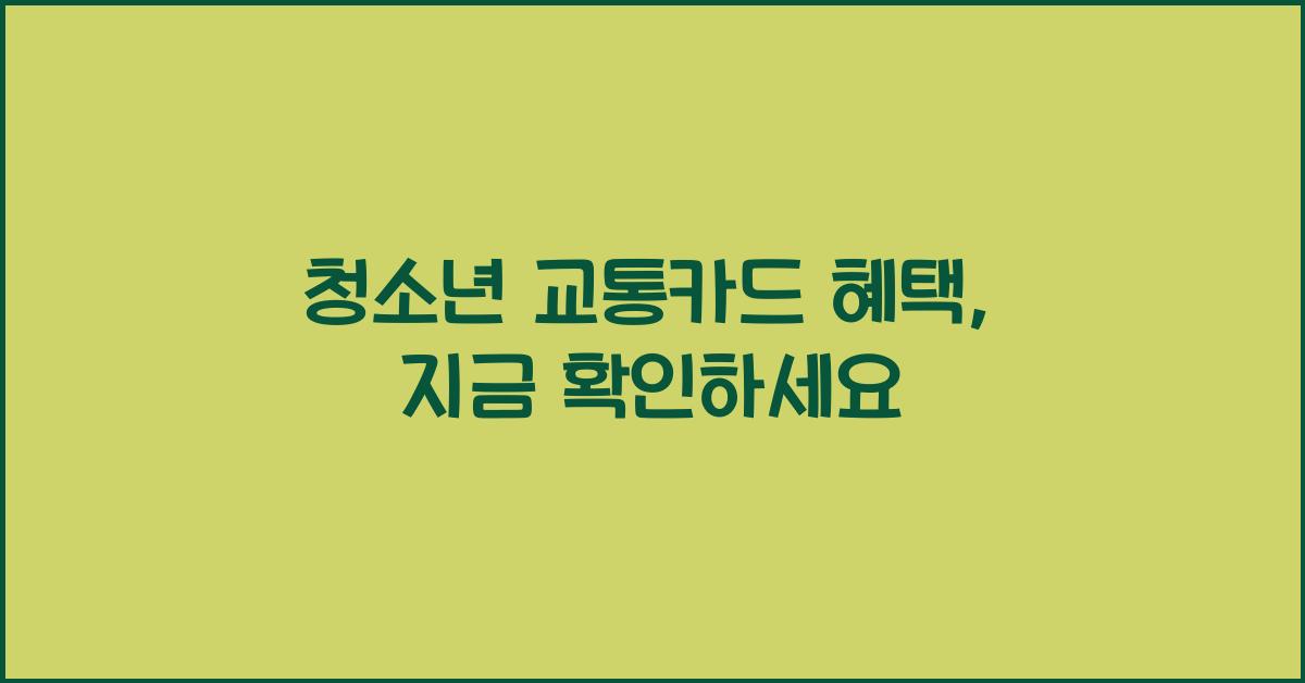 청소년 교통카드