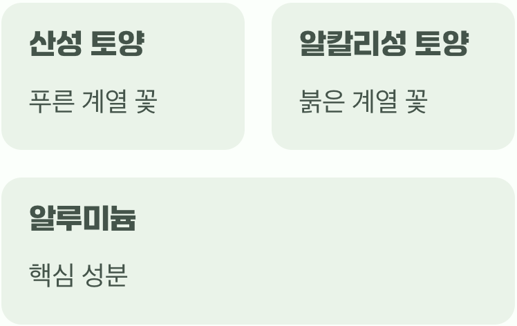 꽃 색깔의 비밀&amp;#44; 흙 속에 있어요