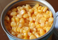 옥수수_통조림