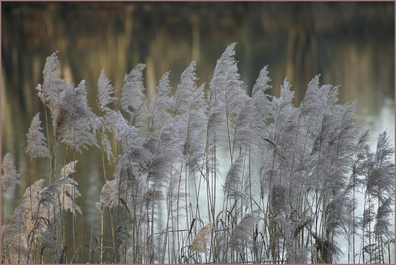 아이오닉5 가격표