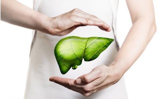 간수치가-올라가는-이유