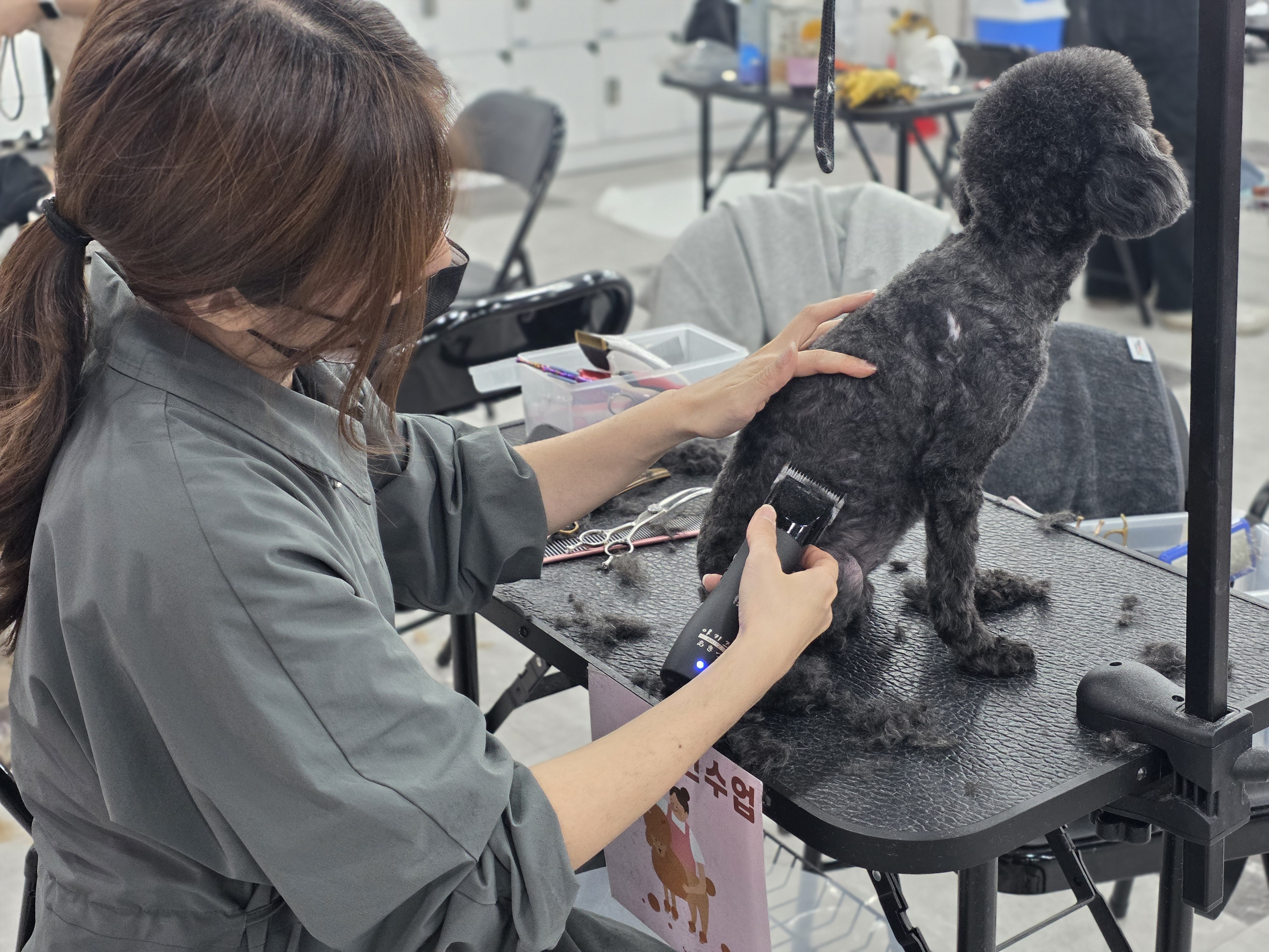 연제애견미용학원