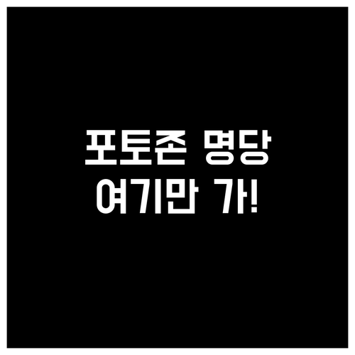미스트롯4 콘서트 인생샷 촬영 명소 ..